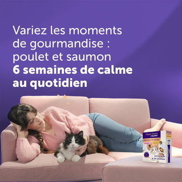 poulet+48-x-sticks