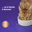 poulet+24-x-sticks