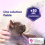 FELIWAY Help! Kit Complet