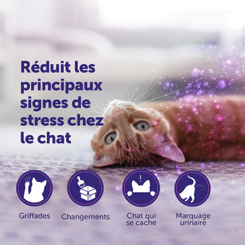 recharge-30-jours-1x48-ml