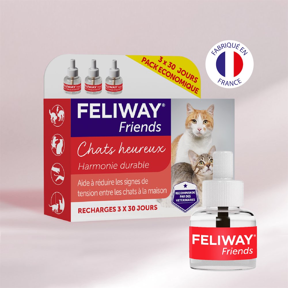 Pack 3 recharge 3X48ML