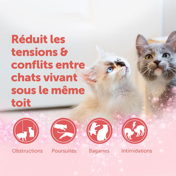 pack-3-recharge-3x48ml