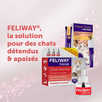 pack-3-recharge-3x48ml