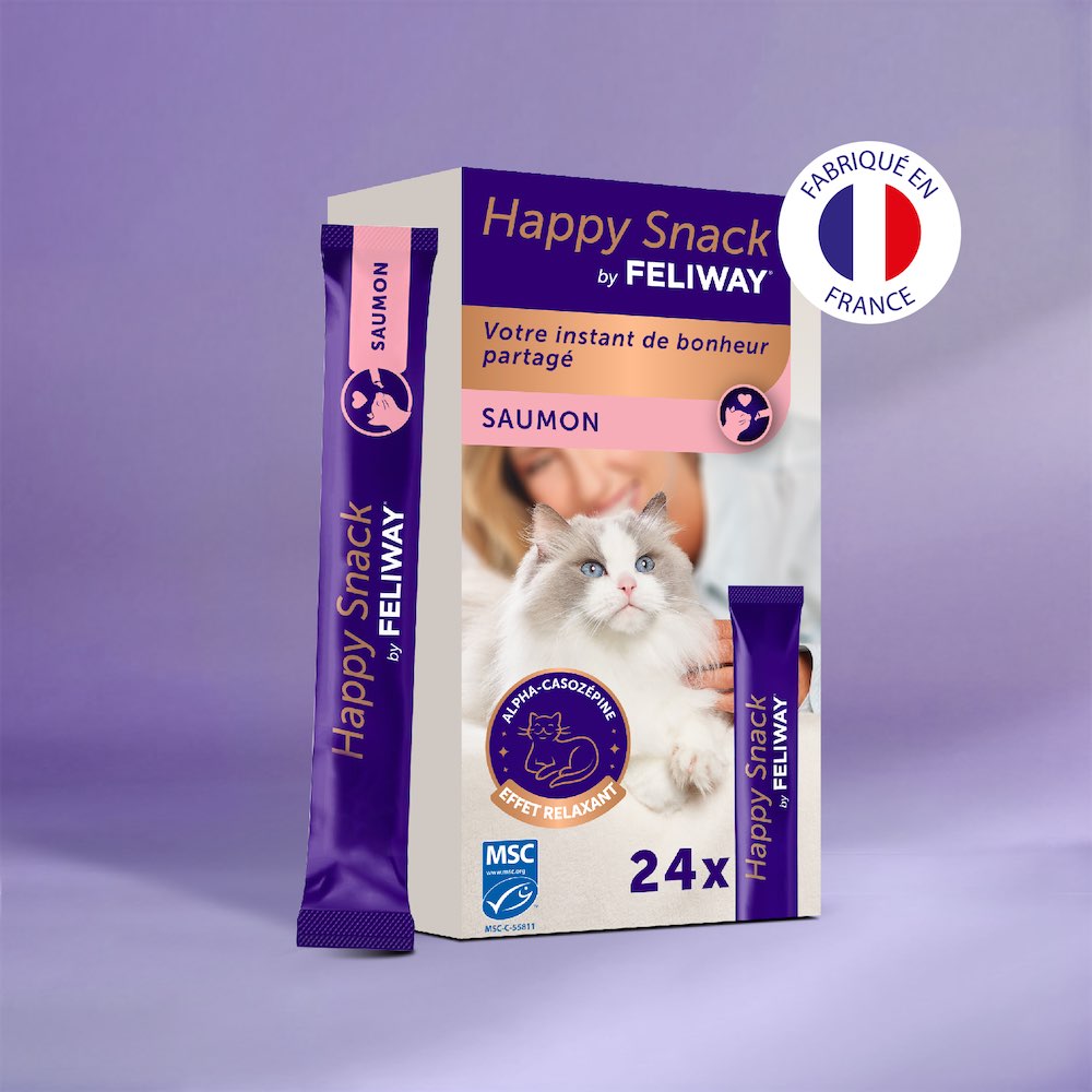 saumon+24-x-sticks
