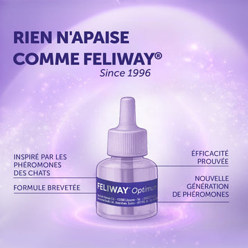 pack-3-recharges-3x48-ml