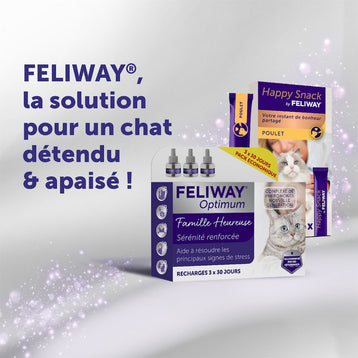 pack-3-recharges-3x48-ml