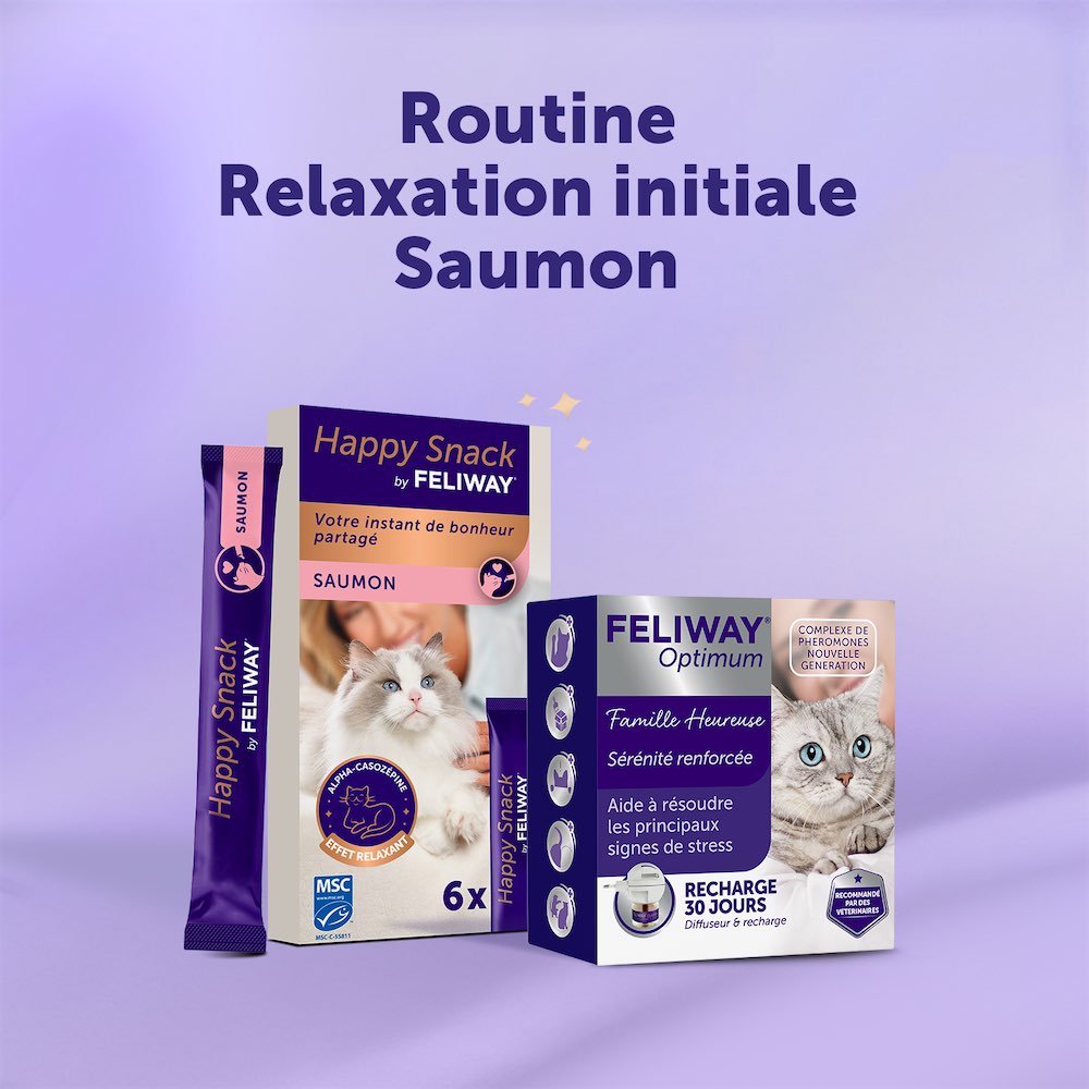 Routine Relaxation Initiale - Saumon