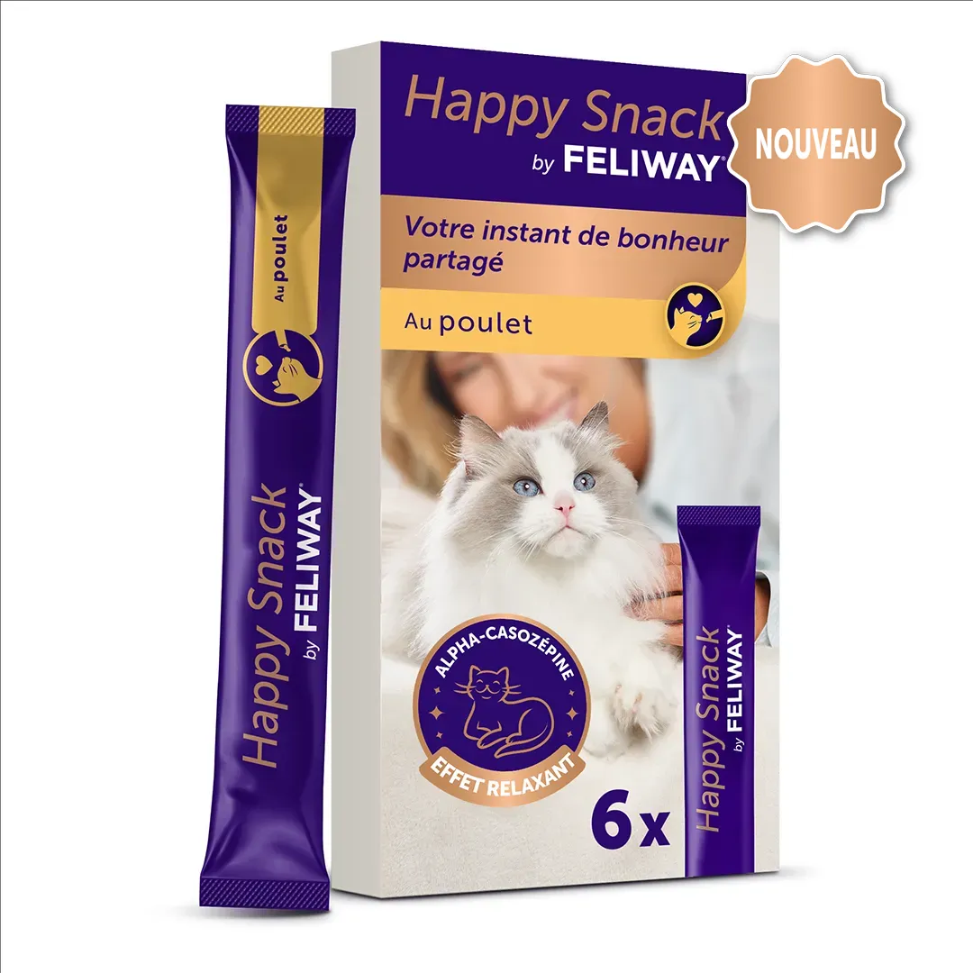 FELIWAY apaise les chats lors des situations stressantes FELIWAY France