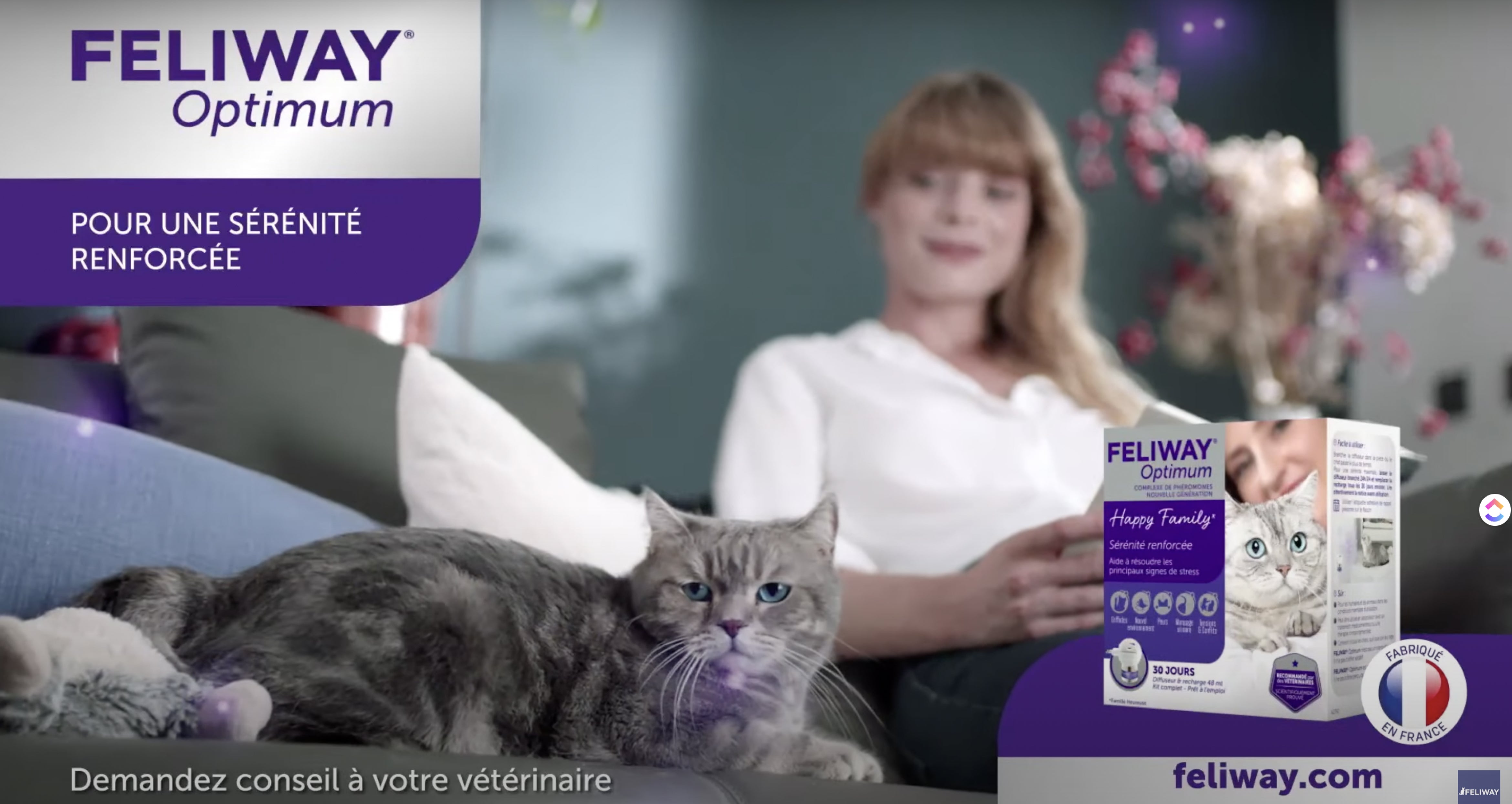 Diffuseur de phéromones FELIWAY Optimum pour réduction du stress chez le  chat