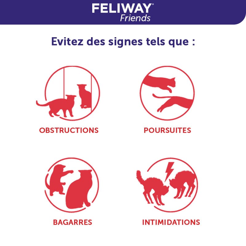 FELIWAY Friends Diffuseur et recharge 48 ml - JMT Alimentation Animale