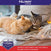harmonie entre chats