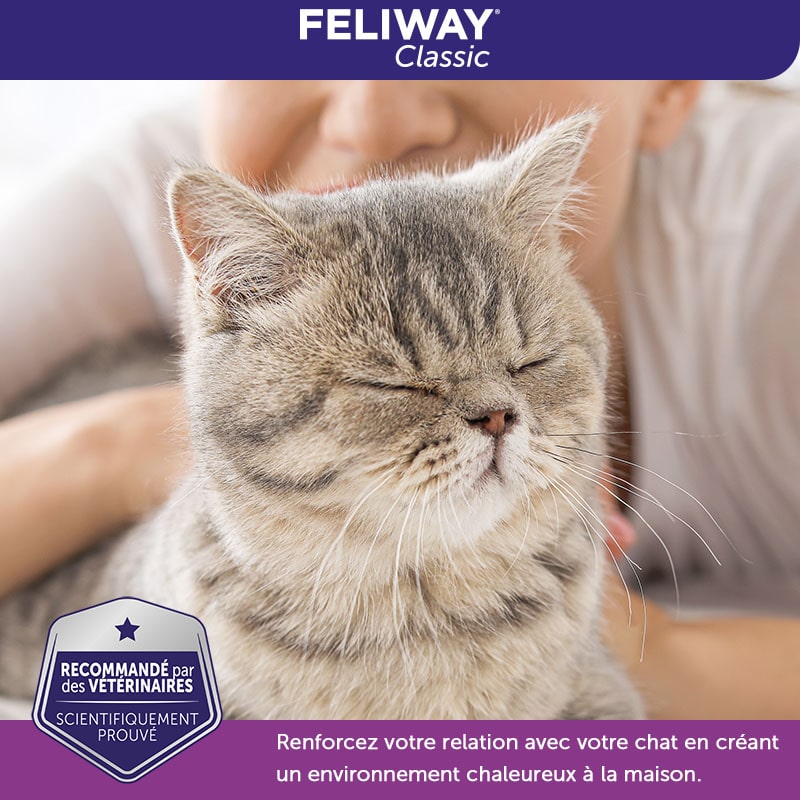FELIWAY® Classic Recharge  Prolonge le bien-être des chats - Pack 3  recharges 3X48 ML - FELIWAY France