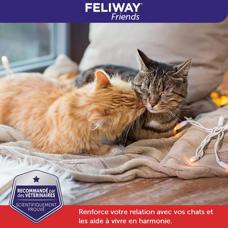 Feliway Friends Economy Pack 3 Mois Flacons 3x48ml