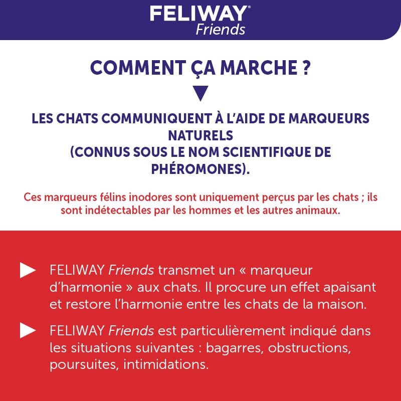 Feliway Friends - Trousse de Départ de 30 Jours - Diffuseur et