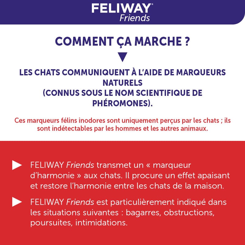 Nous avons testé pour vous Feliway Friends, le diffuseur pour