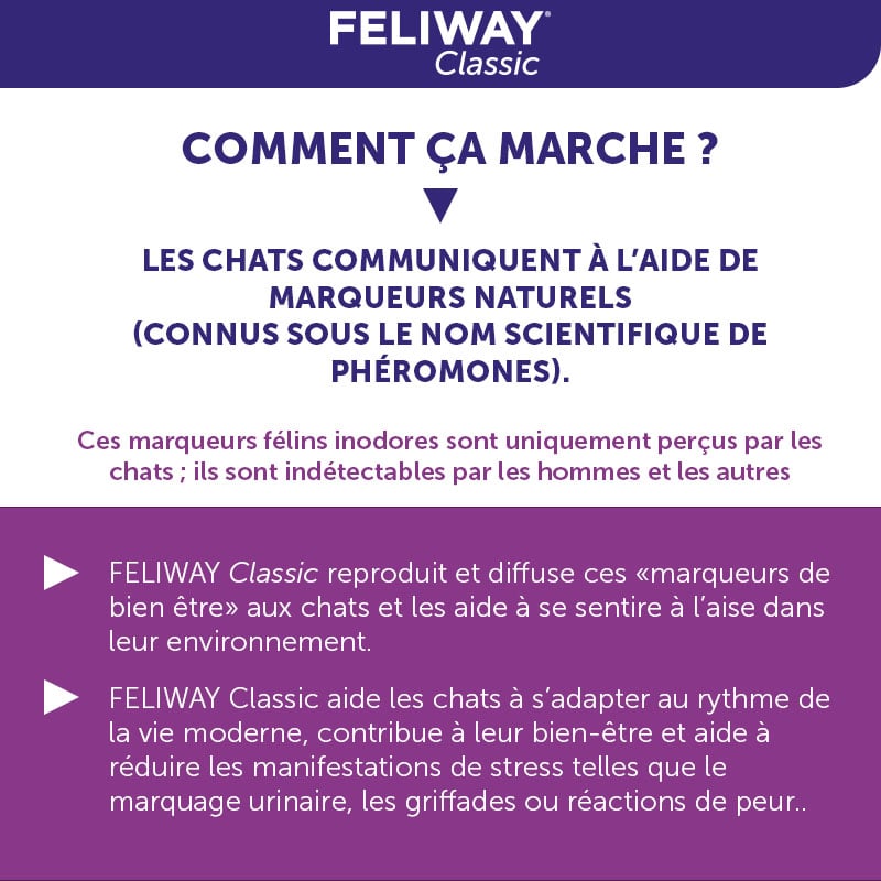 FELIWAY® Classic Spray  Phéromones apaisantes pour chats - FELIWAY France