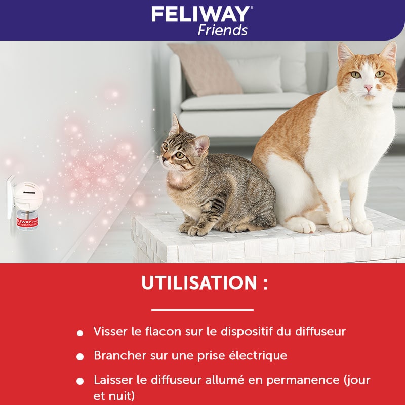 Feliway Friends Chat Recharge Vétérinaire 48 M