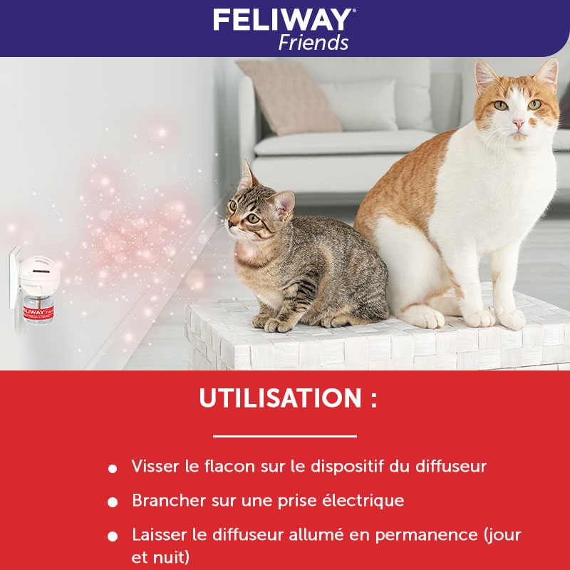 recharge-48-ml-pack-3-recharge-3x48ml-comment utiliser FELIWAY Friends