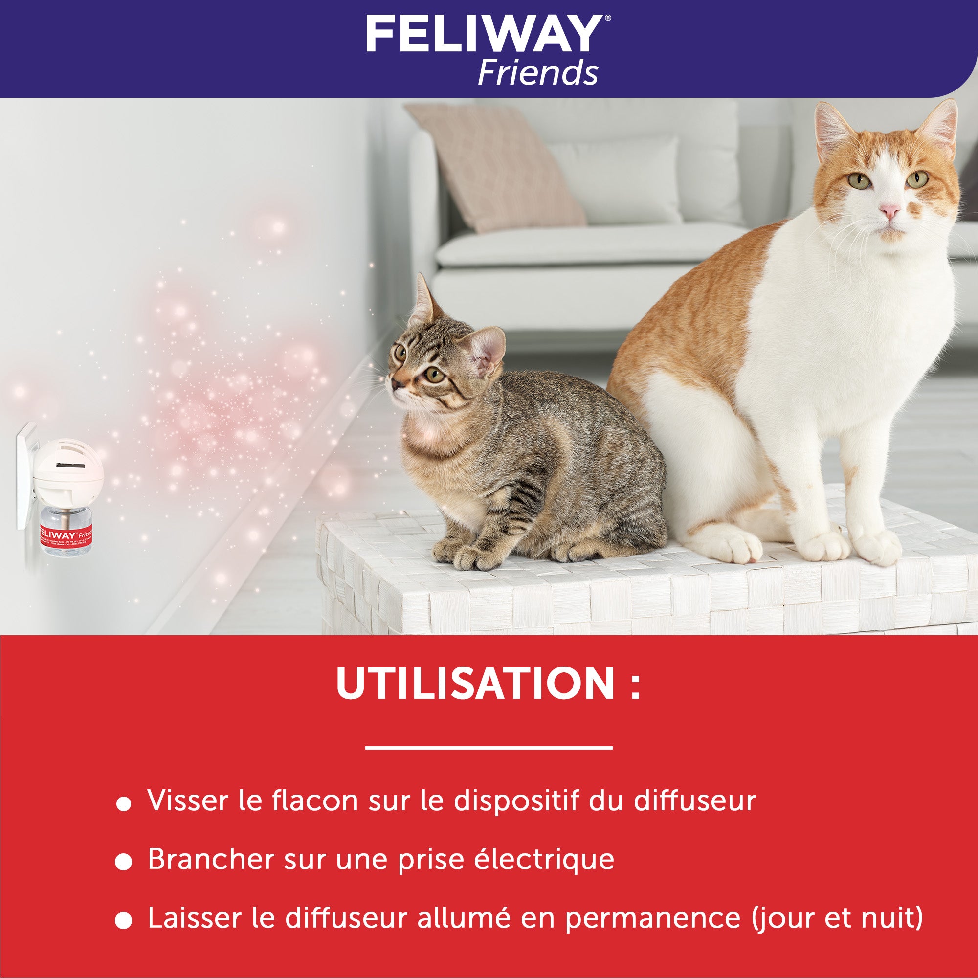 Feliway friends diffuseur