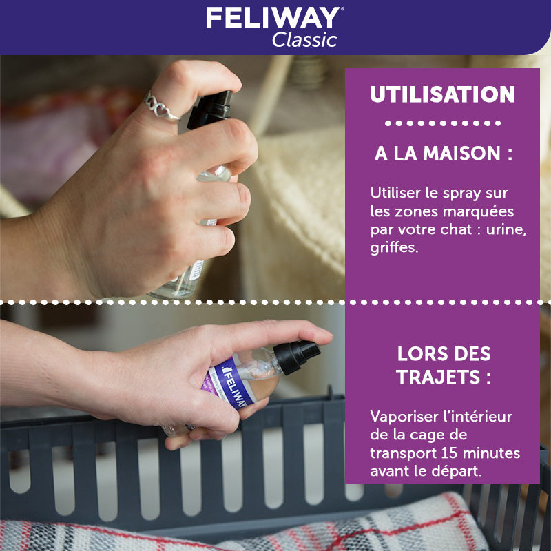 FELIWAY® Classic Spray  Phéromones apaisantes pour chats - FELIWAY France