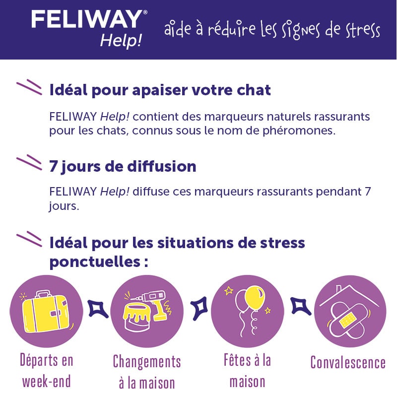 Feliway recharge optimale de 30 jours – 48ml pour chats— animauxbouffe