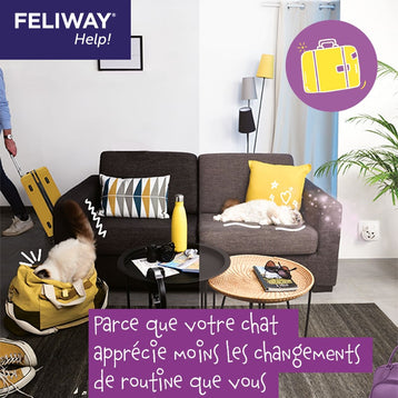 chat seul week-end feliway help