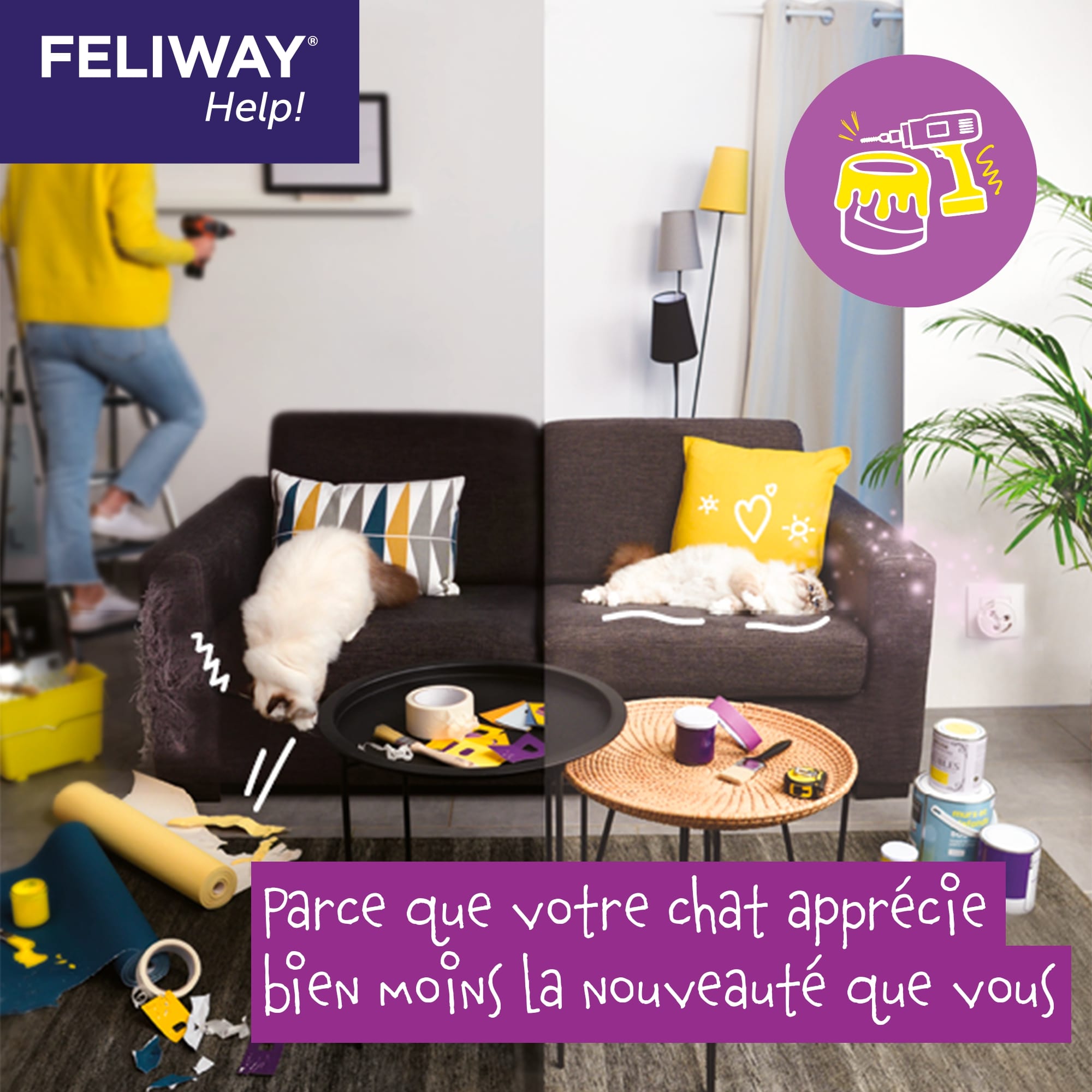 FELIWAY® Classic Recharge  Prolonge le bien-être des chats - FELIWAY France