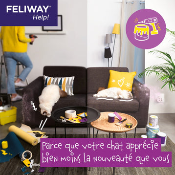 FELIWAY Help! changements à la maison